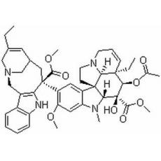 長(zhǎng)春瑞濱