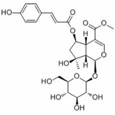  6-O-trans-p-Coumaroylshanzhiside